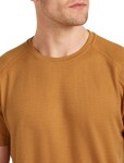 ICEBREAKER Mens Mer 200 Waffle Elevation SS Tee, Trail velikost: M