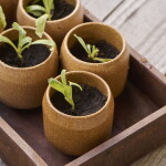 Ib Laursen Malý keramický obal na květiny Saga Brown, hnědá barva, keramika