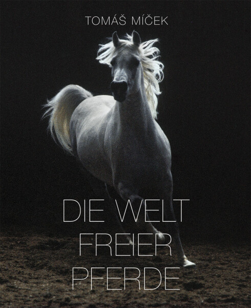 Die Welt Freier Pferde Tomáš Míček