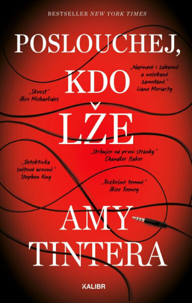 Poslouchej, kdo lže - Amy Tintera