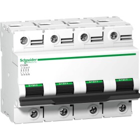 Schneider Electric A9N18376 A9N18376 elektrický jistič 125 A 500 V/DC