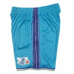 Mitchell & Ness Pánské kraťasy Charlotte Hornets NBA 1999-00 Swingman Shorts Velikost: S