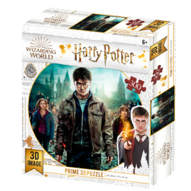Puzzle 3D Harry, Hermiona Ron 300 dílků