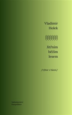 Jitřním běžím lesem