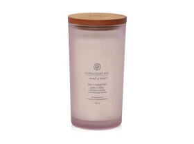 Vonná svíčka CHESAPEAKE BAY CANDLE Joy & Laughter 355g