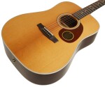 Cort Earth200F ATV SG
