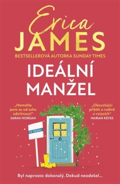 Ideální manžel