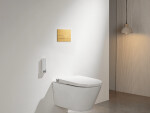 CERANO - Ovládací tlačítko splachování Line k WC modulu Profi - nerezová ocel - kartáčovaná zlatá CER-8050BD80367