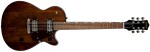 Gretsch G2210 Streamliner IMS