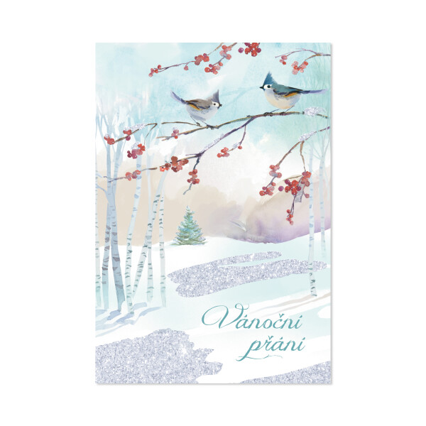 Vánoční přání - Dvě sýkorky - Albi