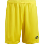 Pánské šortky Entrada 22 M model 18338738 S - ADIDAS