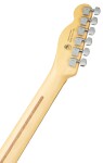 Fender American Professional II Telecaster RW MYST SFG