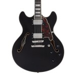 D'Angelico Premier DC Double Cutaway Stop-Bar Tailpie CE Black Flake