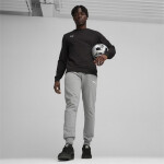 Pánská mikina Puma Team Goal Casuals Crew Neck M 658592 03 XL
