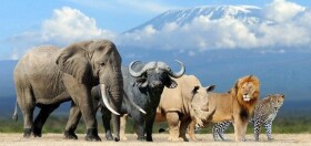 Pohlednice 3D The Big Five