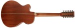 Tanglewood TW12 CE
