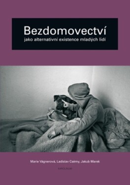 Bezdomovectví jako alternativní existence mladých lidí - Marie Vágnerová, Jakub Marek, Ladislav Csémy - e-kniha