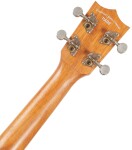 Tanglewood TWT 5