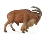 Collecta Paovce hřivnatá