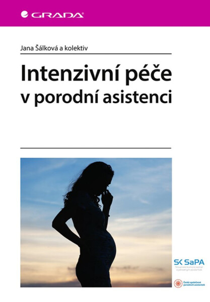 Intenzivní péče v porodní asistenci - kolektiv autorů, Šálková Jana