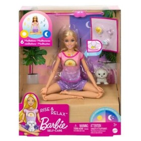 Barbie Wellness a meditace