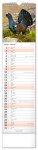 Nástěnný kalendář vázankový/kravata 2026 NOTIQUE - Lesní zvěř – Lesná zver, 12 x 48 cm