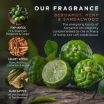 Baylis & Harding Sada pánské kosmetiky Bergamot/Hemp/Sandalwood, zelená barva, plast