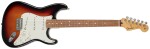 Fender Player Stratocaster