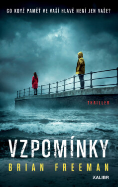 Vzpomínky - Brian Freeman - e-kniha