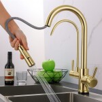 REA - Kuchyňská baterie Eco Fresh GOLD REA-B8989
