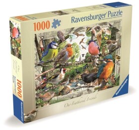 Puzzle Naši opeření přátelé 1000 dílků