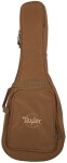 Taylor Academy 10e LTD