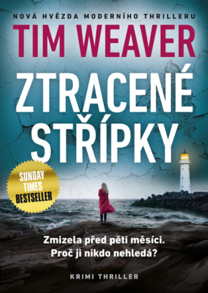 Ztracené střípky - Tim Weaver - e-kniha