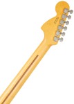 Fender American Professional II Telecaster DLX RW DK NIGHT