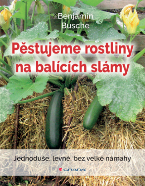 Pěstujeme rostliny na balících slámy - Benjamin Busche - e-kniha