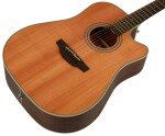 Takamine GD20CE-NS
