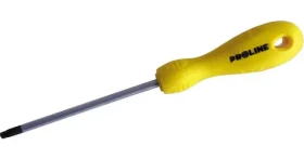 NoName Šroubovák Security Torx T25x100mm / Šroubovák / CrV ocel / Soft Touch rukojeť (10993)