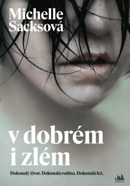 V dobrém i zlém - Michelle Sacks