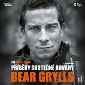 Příběhy skutečné odvahy - Bear Grylls - audiokniha