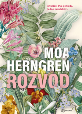 Rozvod - Moa Herngren - e-kniha