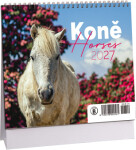 Stolní kalendář mini 2027 Aria Koně