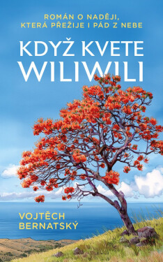 Když kvete wiliwili - Román o naději, která přežije i pád z nebe - Vojtěch Bernatský