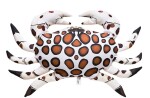 Gaby Polštář Krab kaliko 60 cm,Gaby Polštář Krab kaliko 60 cm