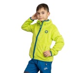 Mikina dětská chlupatá se stojáčkem, Pidilidi, PD1114-19, zelená - 122 | 7let