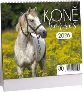 Stolní kalendář ARIA 2026 MINI - Koně