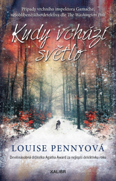 Kudy vchází světlo - Louise Penny