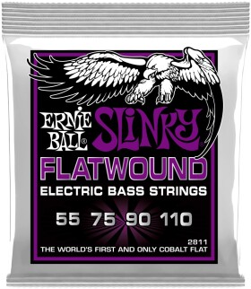 Ernie Ball 2811