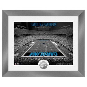 Obraz Carolina Panthers NFL Art Deco Stadium Silver Coin