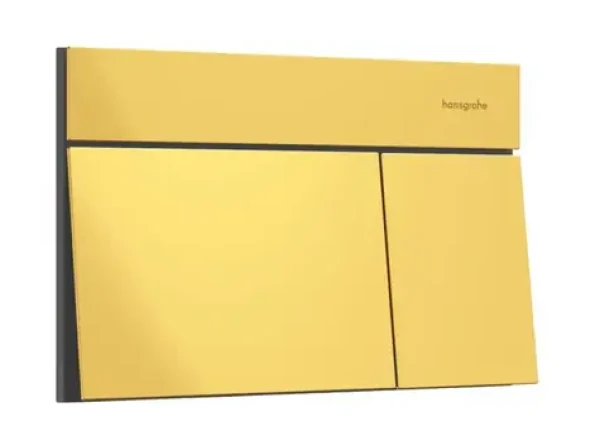 Hansgrohe iFrame Element E leštěný vzhled zlata / Ovládání splachování / duální / mechanické / kov (66003990)