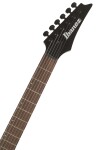 Ibanez RGD61ALA Midnight Tropical Rainforest